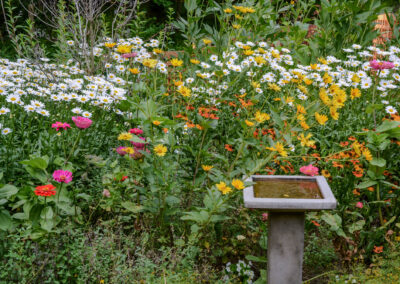 Beautifully designed unique landscaping in Ohio with vibrant flowers